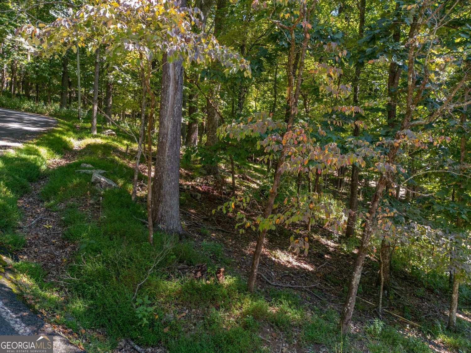 0 Valley View Vista Jasper, GA 30143 - Photo 4 of 14 a backyard of a house with lots of green space