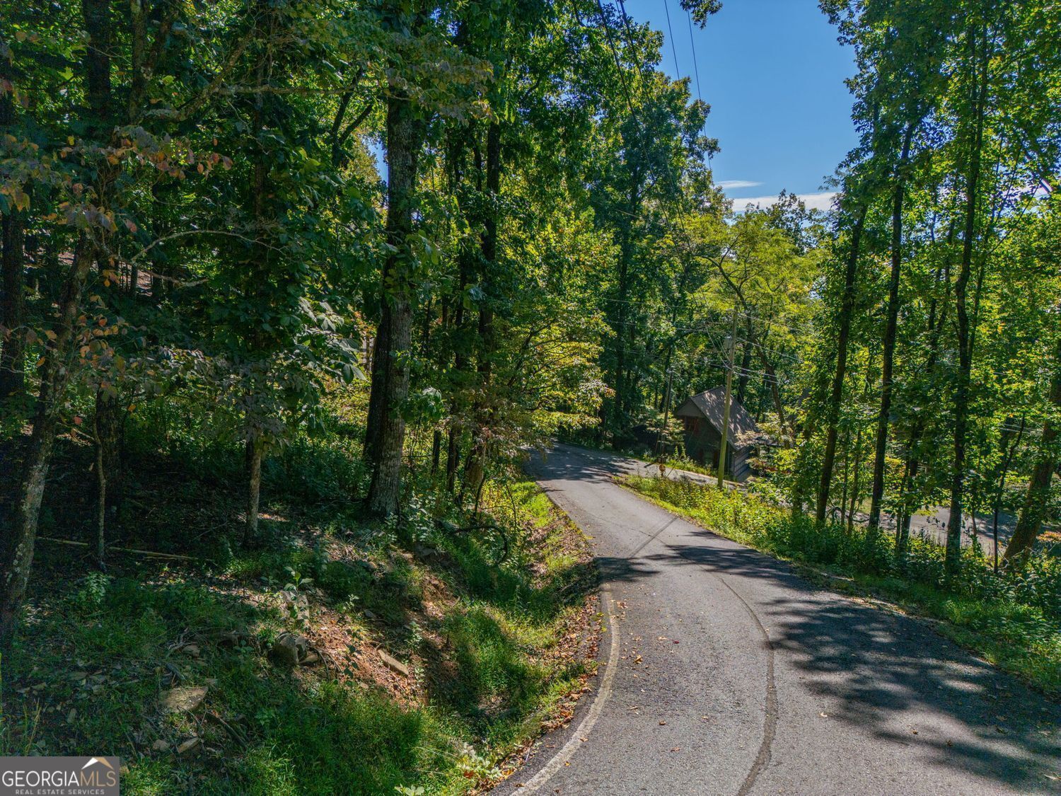 0 Valley View Vista Jasper, GA 30143 - Photo 5 of 14 a view of a park with large trees