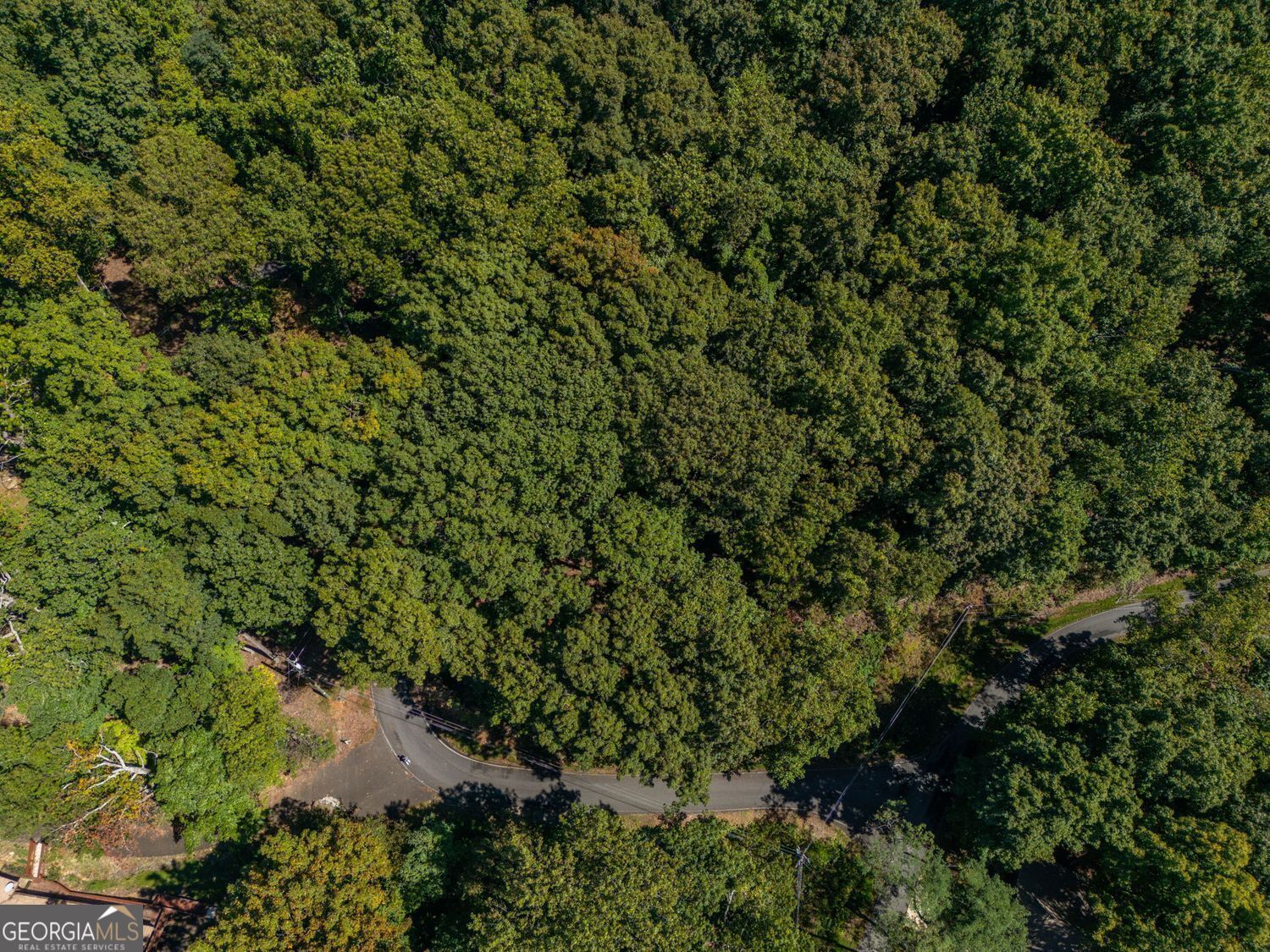 0 Valley View Vista Jasper, GA 30143 - Photo 6 of 14 a view of a forest with a tree
