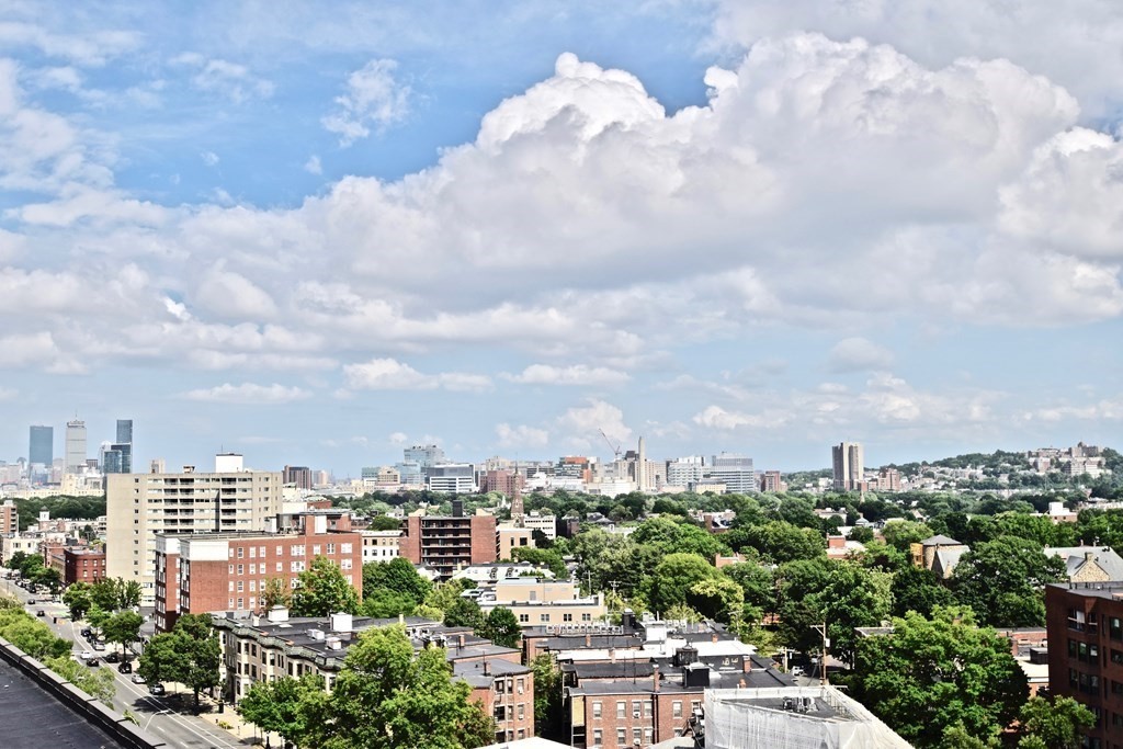 1454 Beacon Street, Unit 342 Brookline, MA 02446 - Photo 4 of 8