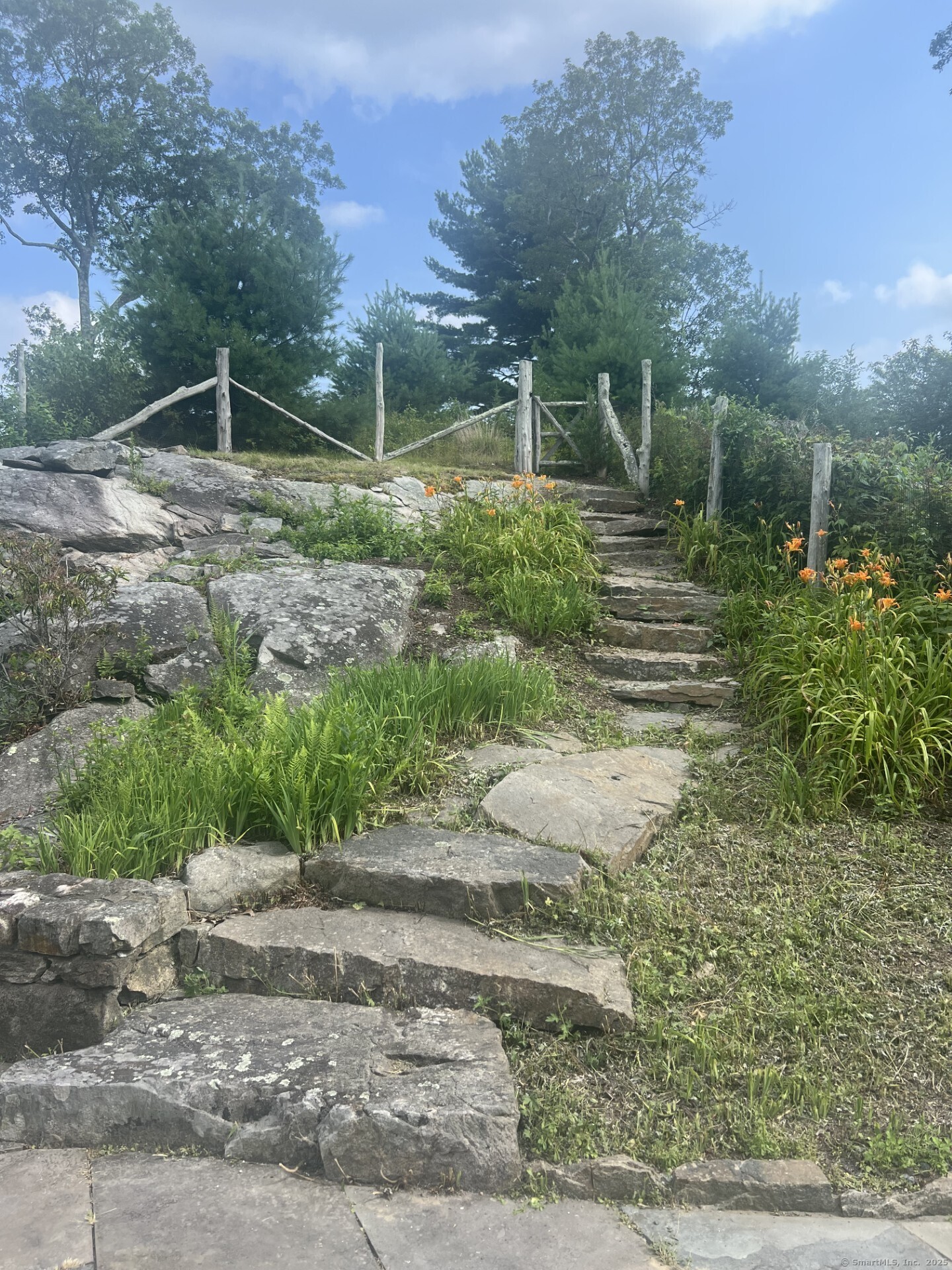 27 Rogues Ridge Road Weston, CT 06883 - Photo 38 of 39 a backyard of a house with lots of green space