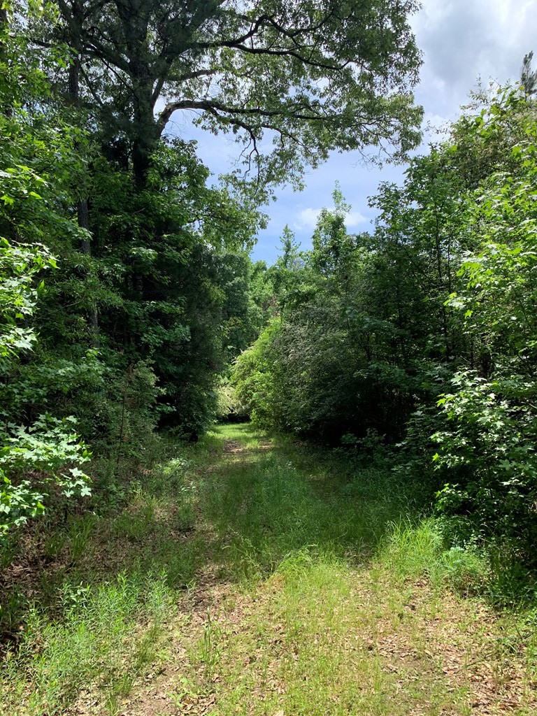 . Shucktown Road McCall Creek, MS 39647 - Photo 4 of 10 Photo 4