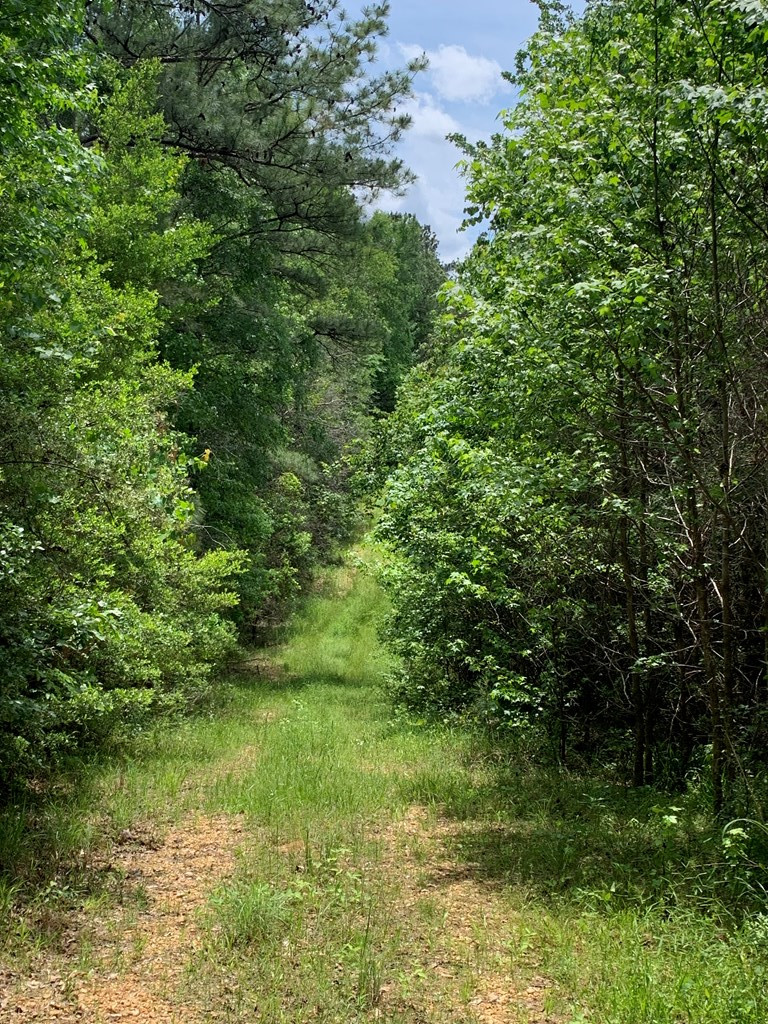 . Shucktown Road McCall Creek, MS 39647 - Photo 5 of 10 Photo 5