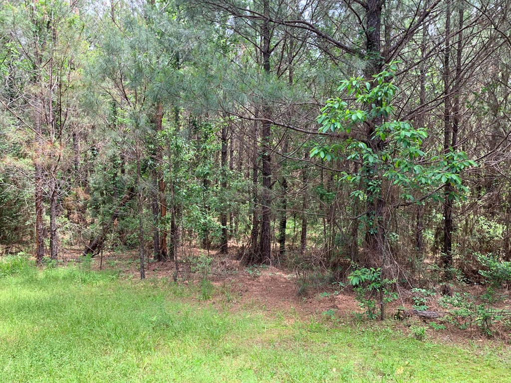 . Shucktown Road McCall Creek, MS 39647 - Photo 7 of 10 Photo 7