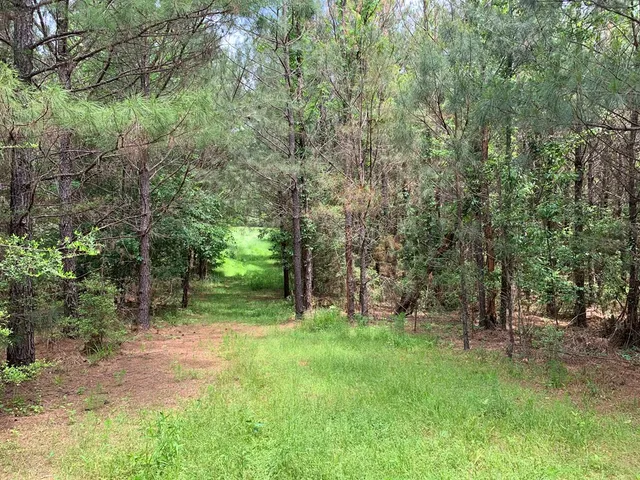 $465,429 | . Shucktown Road, McCall Creek, MS 39647