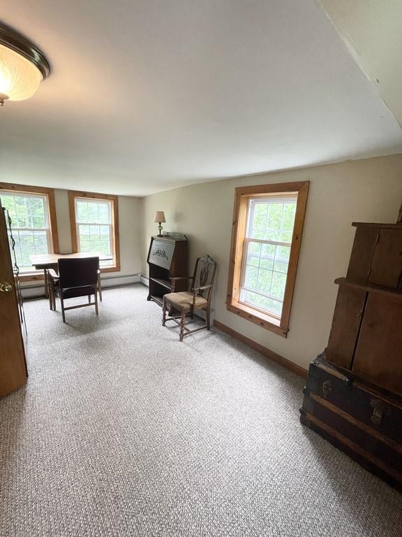 163 Silver Road Bangor, ME 04401 - Photo 35 of 46 IMG_5670 (Copy)