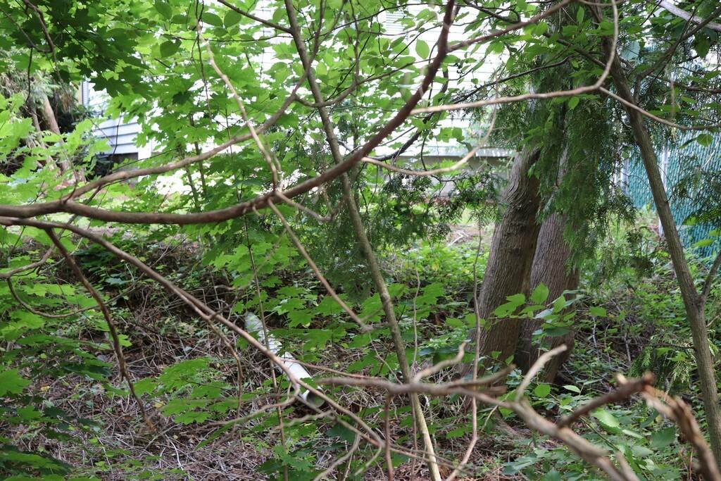 163 Silver Road Bangor, ME 04401 - Photo 42 of 46 IMG_4898 (Copy) (Copy)