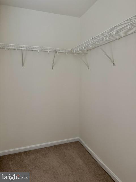 26497 Thunder Road Millsboro, DE 19966 - Photo 13 of 30 Spacious, versatile storage area.