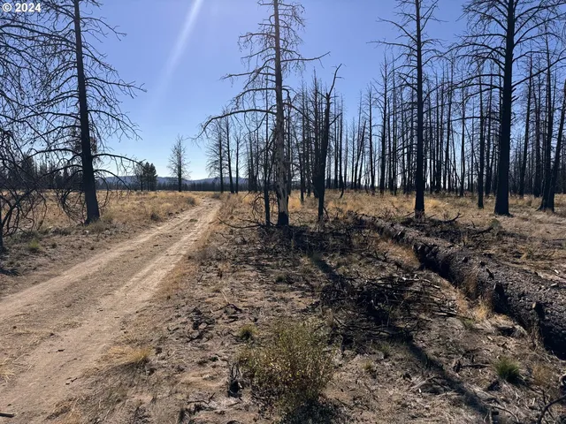 $20,000 | Mahogany Lane, Unit 200, Beatty, OR 97621