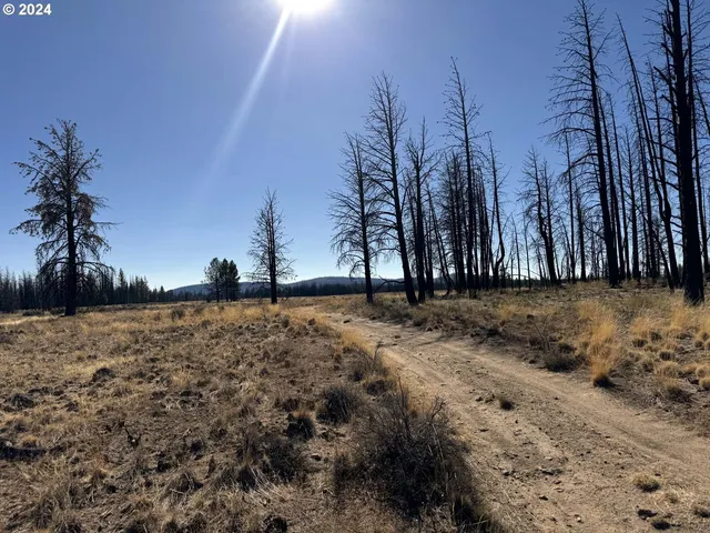 $20,000 | Mahogany Lane, Unit 200, Beatty, OR 97621