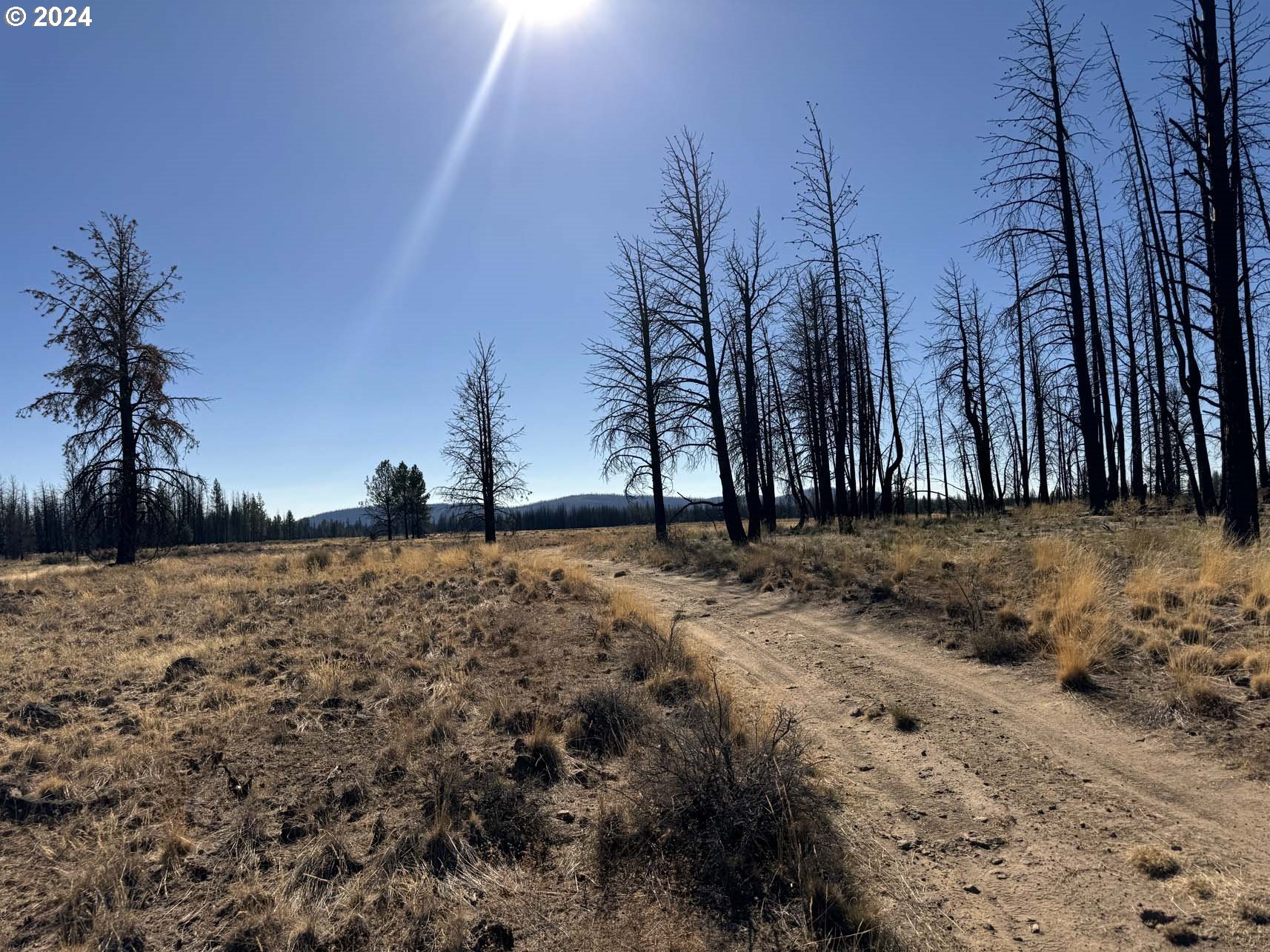 Mahogany Lane, Unit 200 Beatty, OR 97621 - Photo 11 of 29