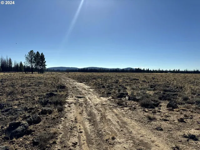 $20,000 | Mahogany Lane, Unit 200, Beatty, OR 97621