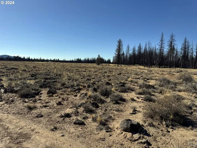 $20,000 | Mahogany Lane, Unit 200, Beatty, OR 97621