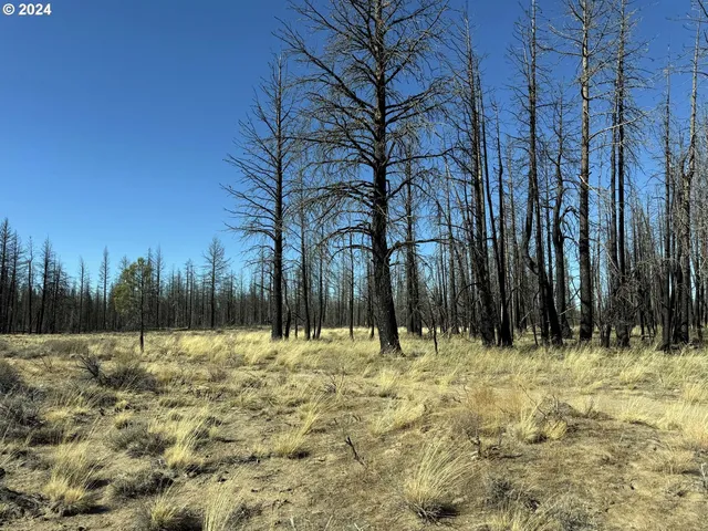 $20,000 | Mahogany Lane, Unit 200, Beatty, OR 97621