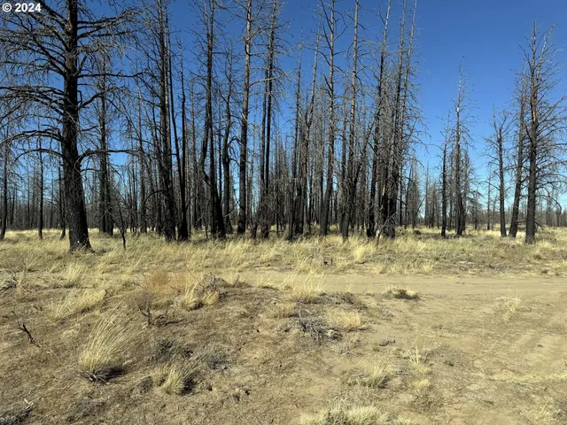 $20,000 | Mahogany Lane, Unit 200, Beatty, OR 97621