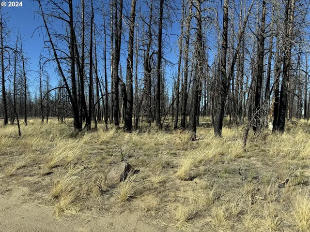 $20,000 | Mahogany Lane, Unit 200, Beatty, OR 97621