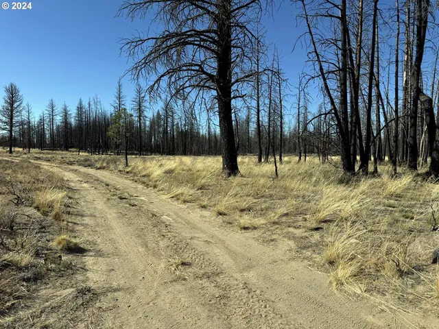 $20,000 | Mahogany Lane, Unit 200, Beatty, OR 97621