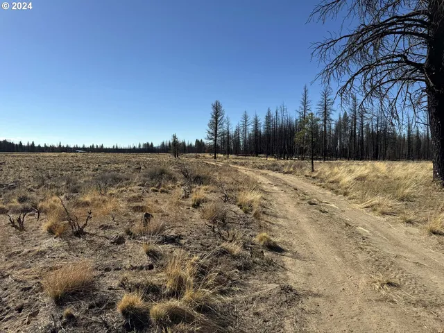 $20,000 | Mahogany Lane, Unit 200, Beatty, OR 97621