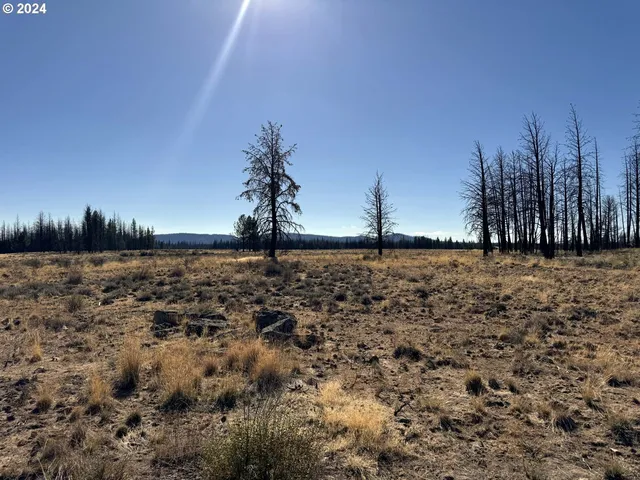 $20,000 | Mahogany Lane, Unit 200, Beatty, OR 97621