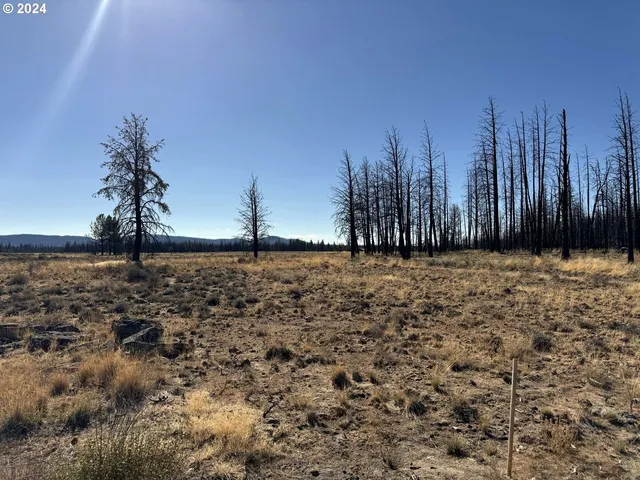 $20,000 | Mahogany Lane, Unit 200, Beatty, OR 97621