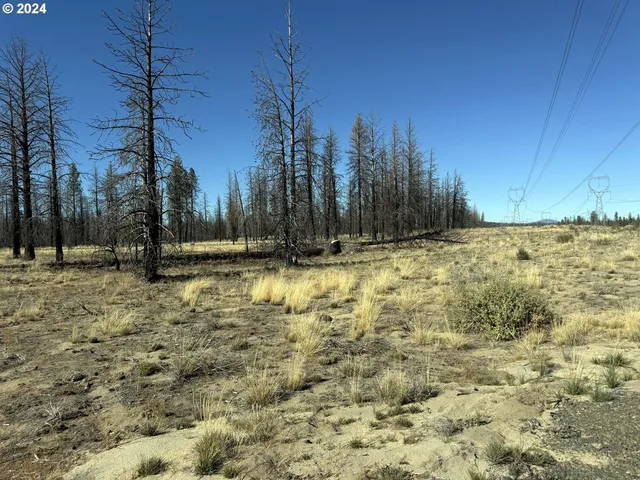 $20,000 | Mahogany Lane, Unit 200, Beatty, OR 97621