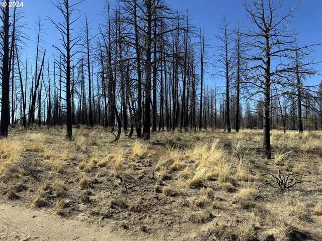 $20,000 | Mahogany Lane, Unit 200, Beatty, OR 97621