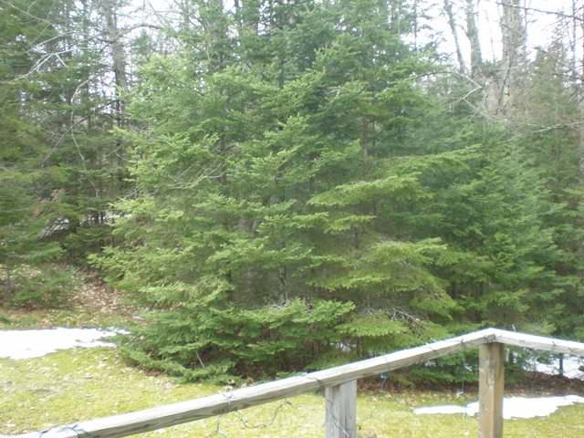 W2148 West Mirror Lake Road Park Falls, WI 54552 - Photo 14 of 14 Gallery Image 14
