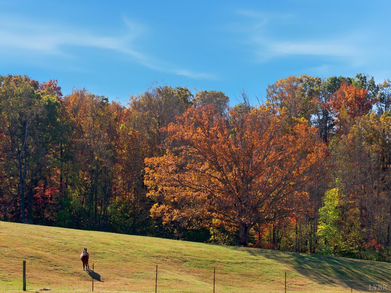 1159 Cedar Gate Road Monroe, VA 24574 - Photo 54 of 54 Gallery Image 54