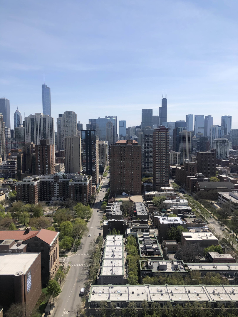 111 West Maple Street, Unit 3104 Chicago, IL 60610 - Photo 16 of 25
