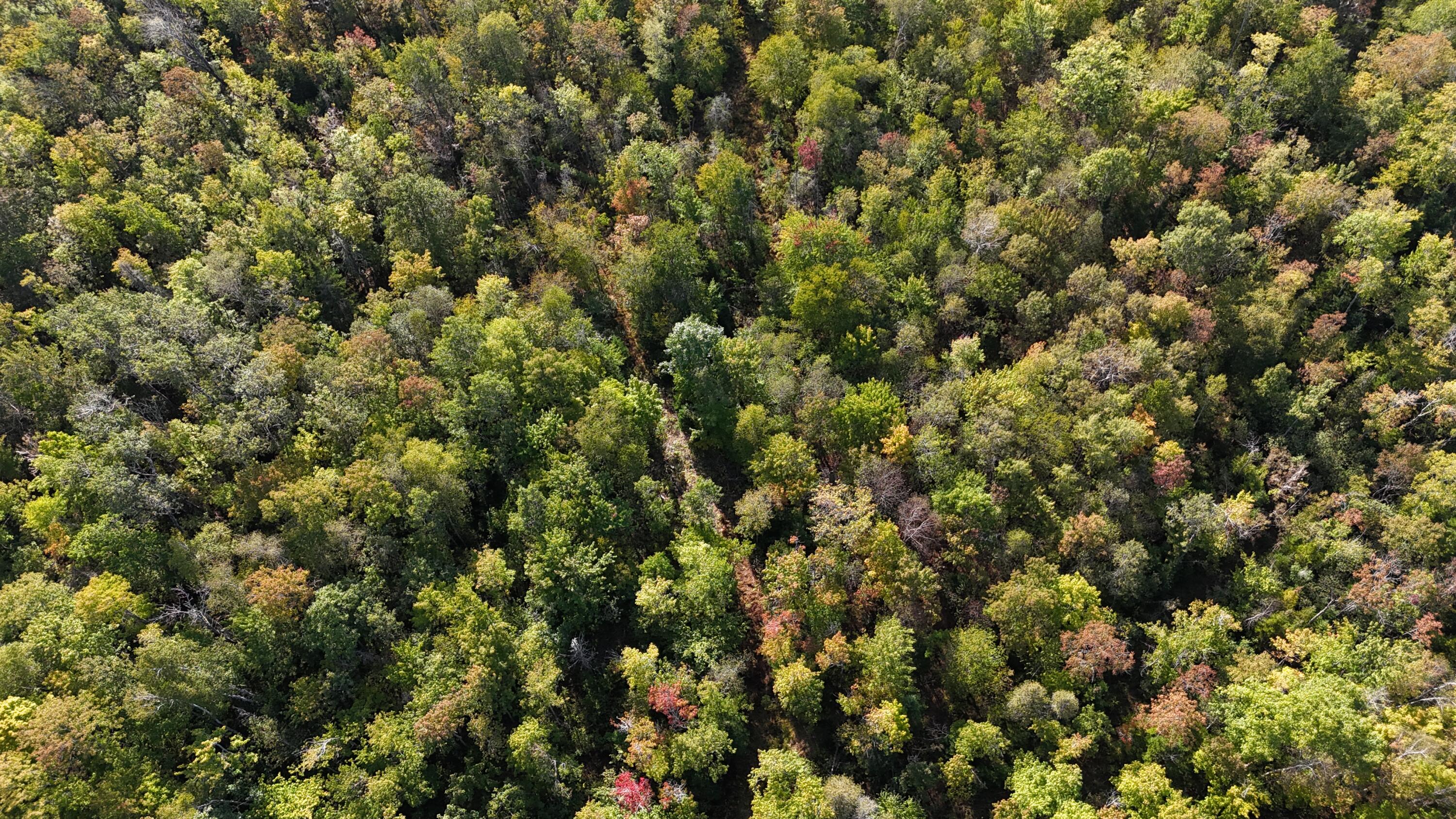 Tbd Tbd Woodcock Road St. Albans, ME 04971 - Photo 4 of 10