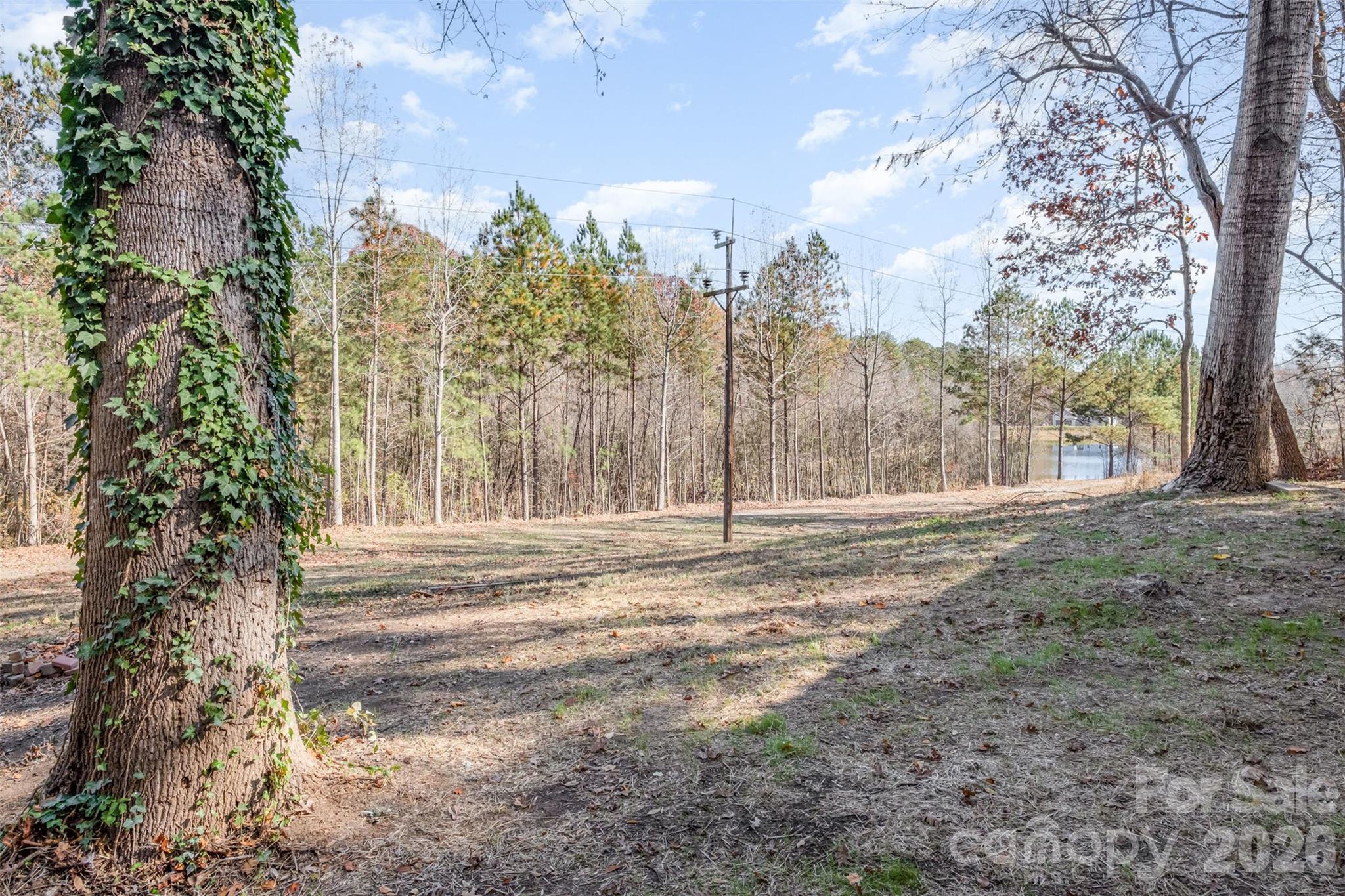 123 General Pemberton Street Stanley, NC 28164 - Photo 30 of 32 a view of a yard with trees