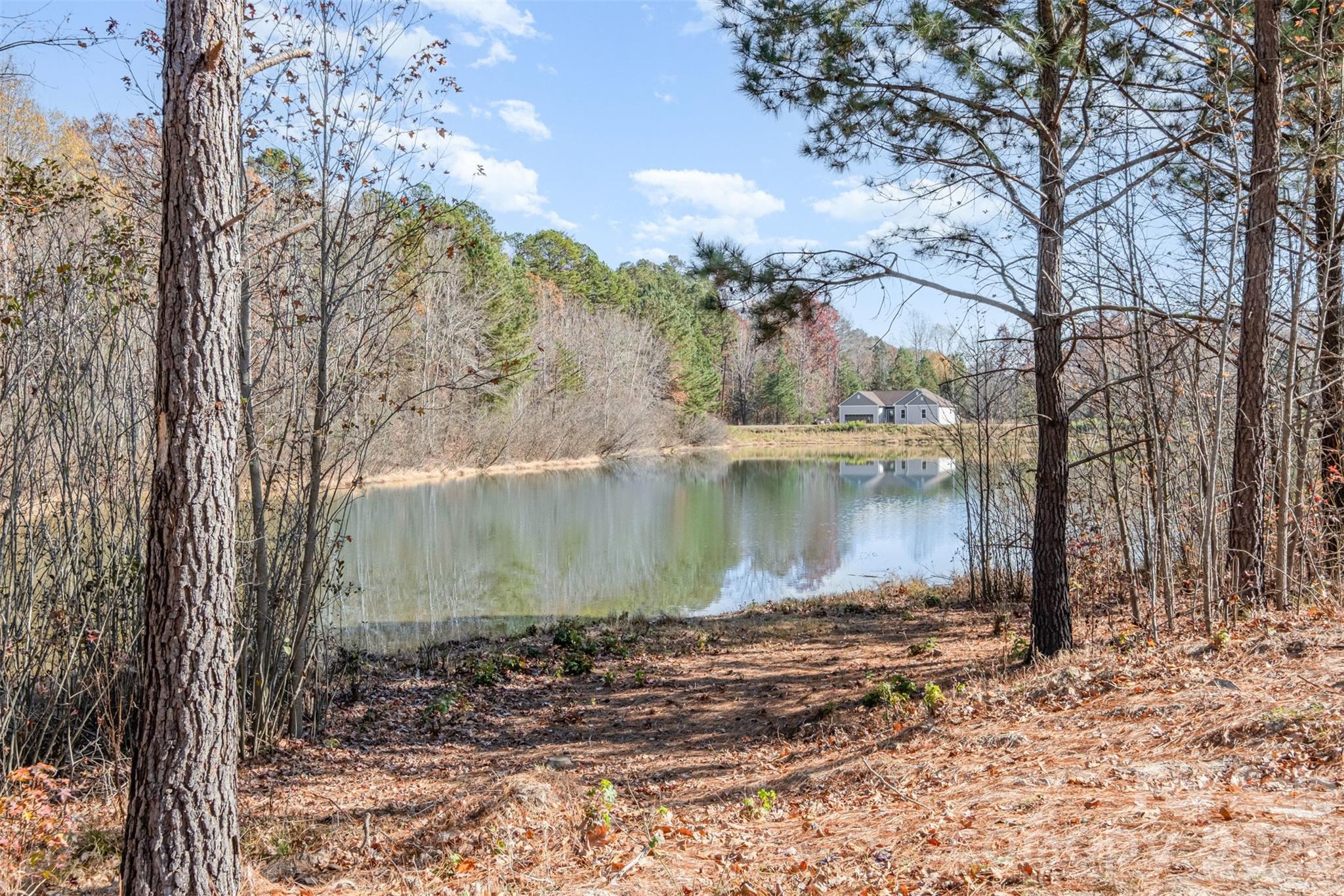 123 General Pemberton Street Stanley, NC 28164 - Photo 3 of 32 a view of a lake view