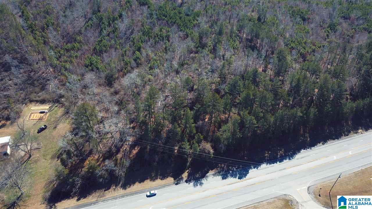 0 Highway 75, Unit 29 38 Oneonta, AL 35121 - Photo 10 of 30