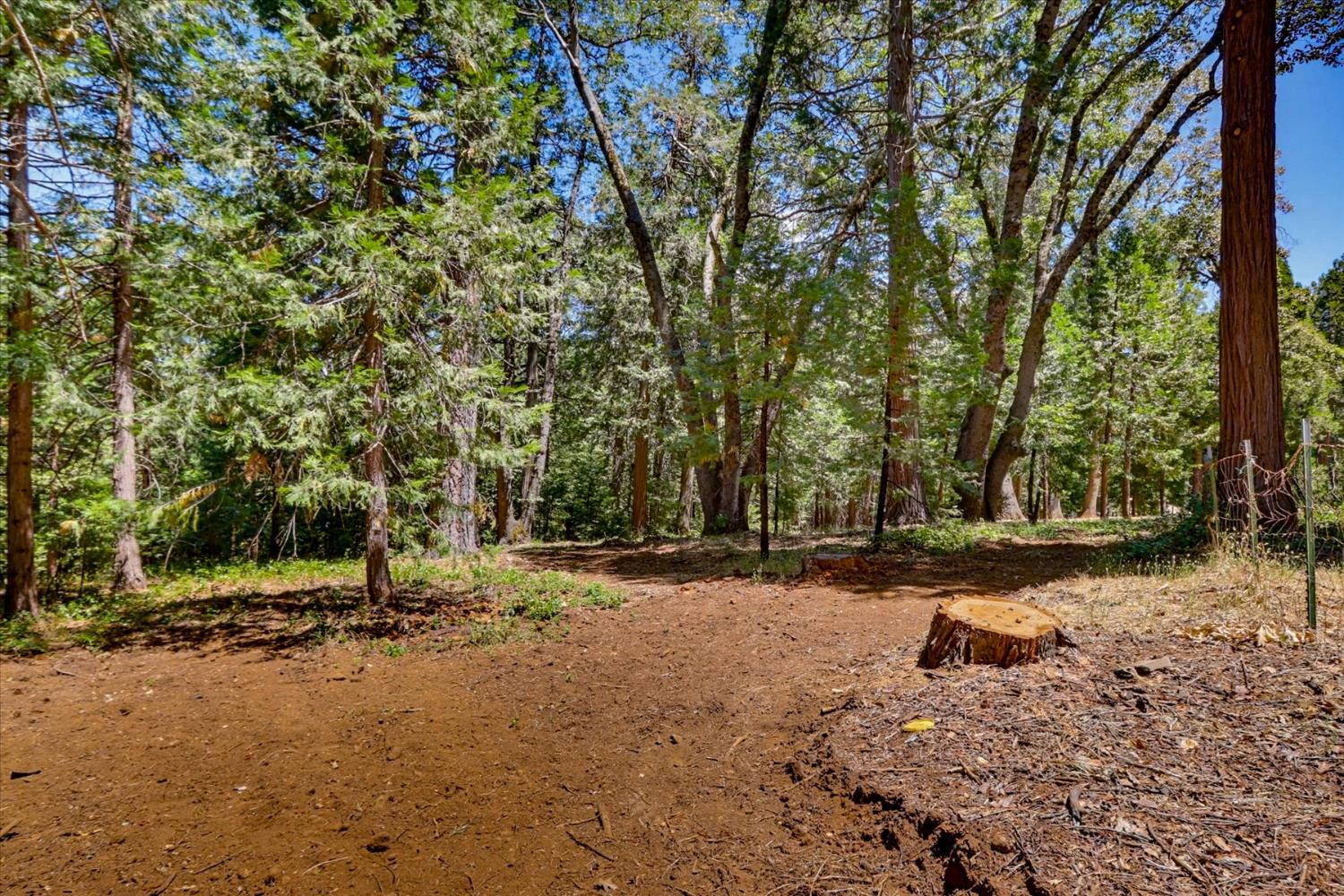 13316 Banner Lava Cap Road Nevada City, CA 95959 - Photo 59 of 73