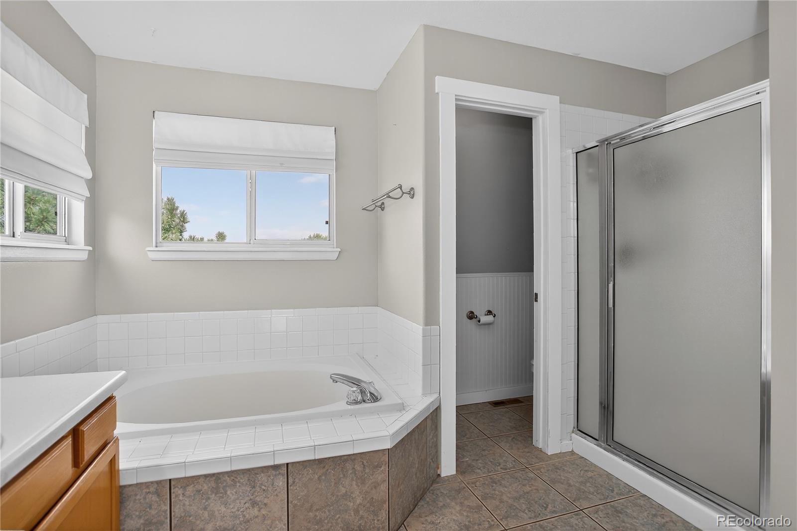 10155 Silver Maple Circle Highlands Ranch, CO 80129 - Photo 26 of 50 Gallery Image 26