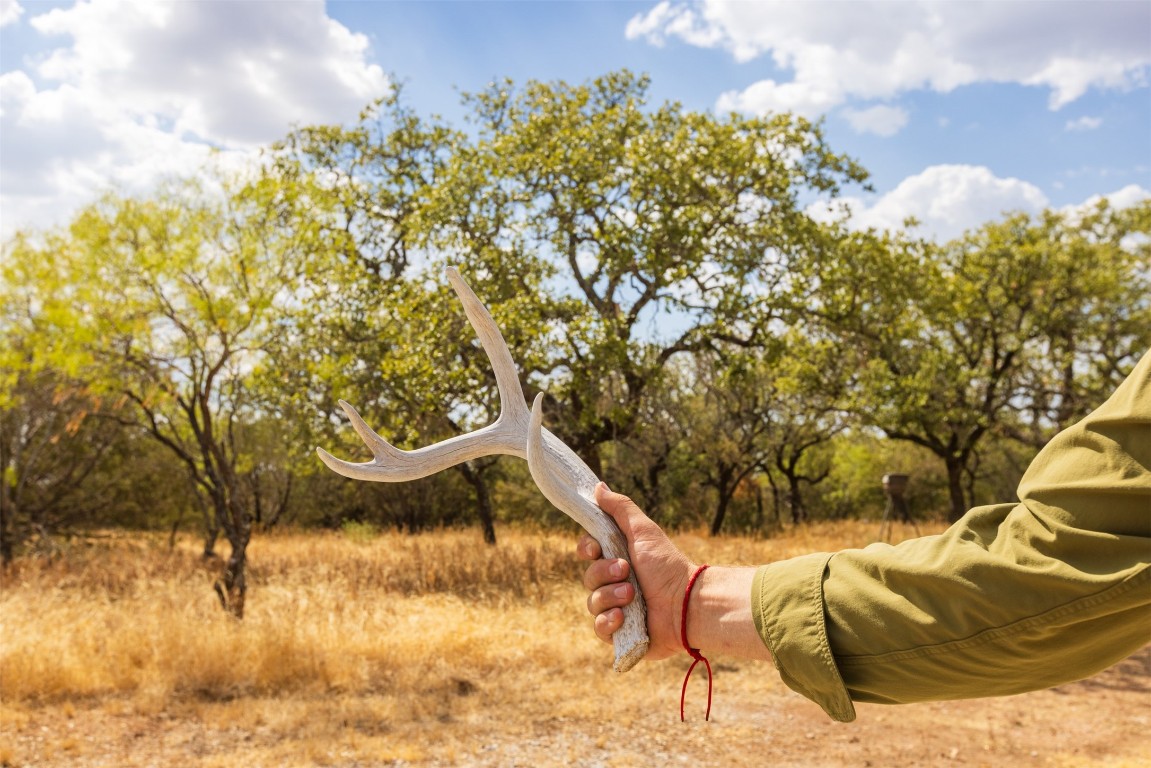 38 County Road 550 Mullin, TX 76864 - Photo 20 of 36 a view of a yard