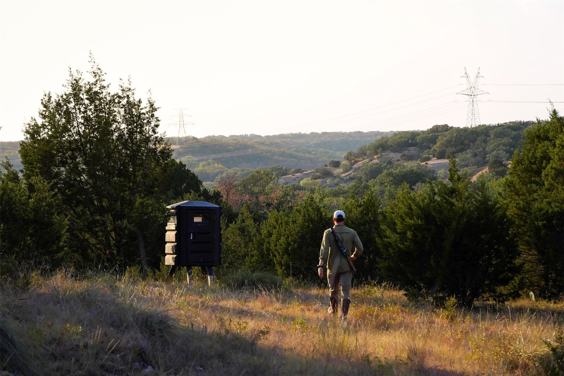 38 County Road 550 Mullin, TX 76864 - Photo 2 of 36 a view of a yard