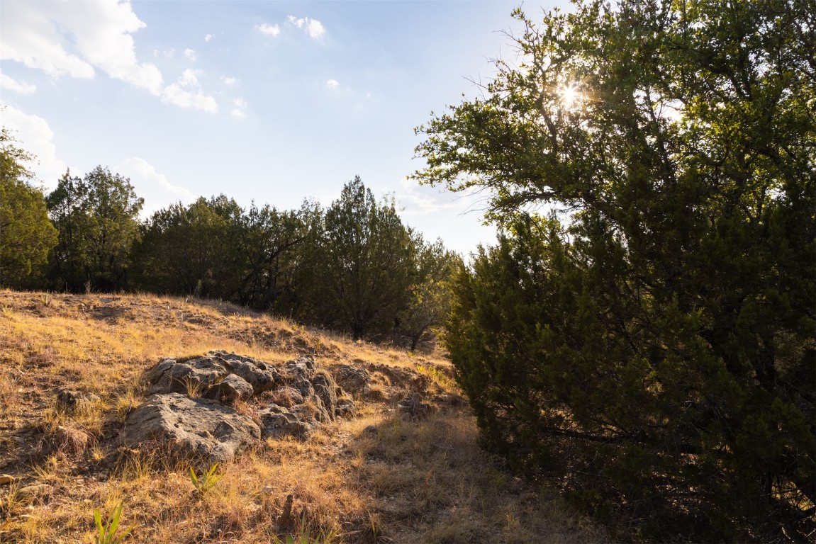 38 County Road 550 Mullin, TX 76864 - Photo 22 of 36 a backyard of a house with large trees