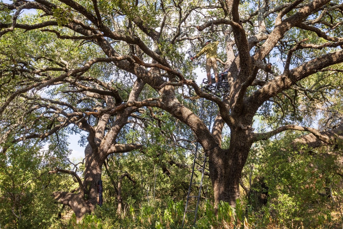38 County Road 550 Mullin, TX 76864 - Photo 27 of 36