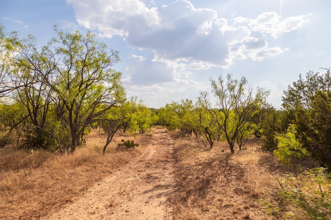 38 County Road 550 Mullin, TX 76864 - Photo 28 of 36 a view of a yard with a tree