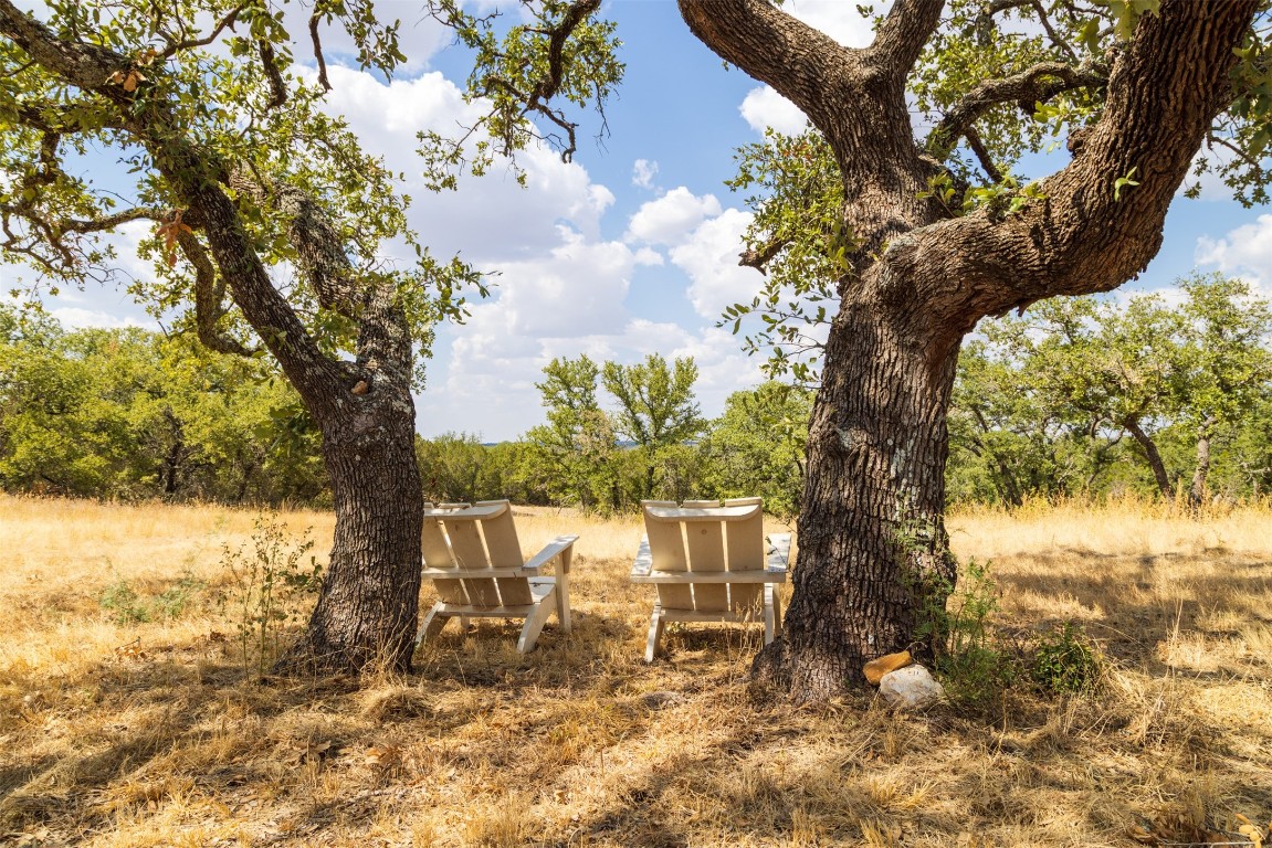 38 County Road 550 Mullin, TX 76864 - Photo 3 of 36 a view of a yard with a tree