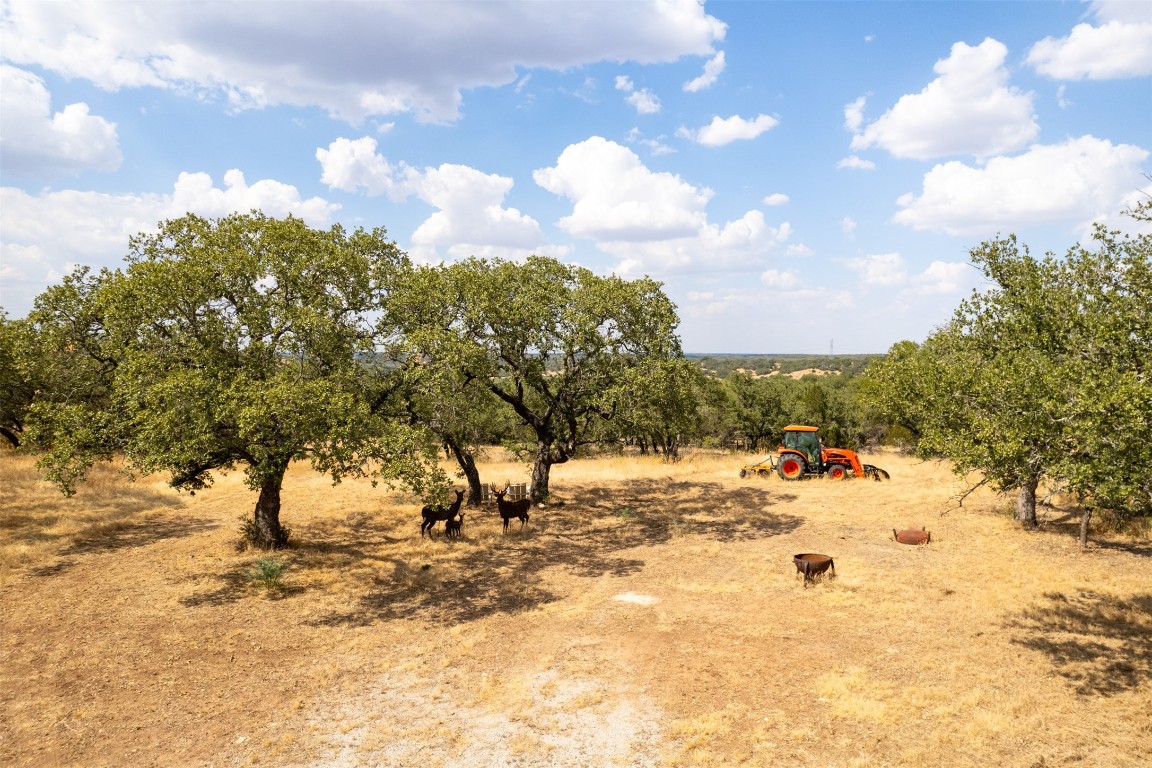 38 County Road 550 Mullin, TX 76864 - Photo 31 of 36 a view of a yard with snow on the road