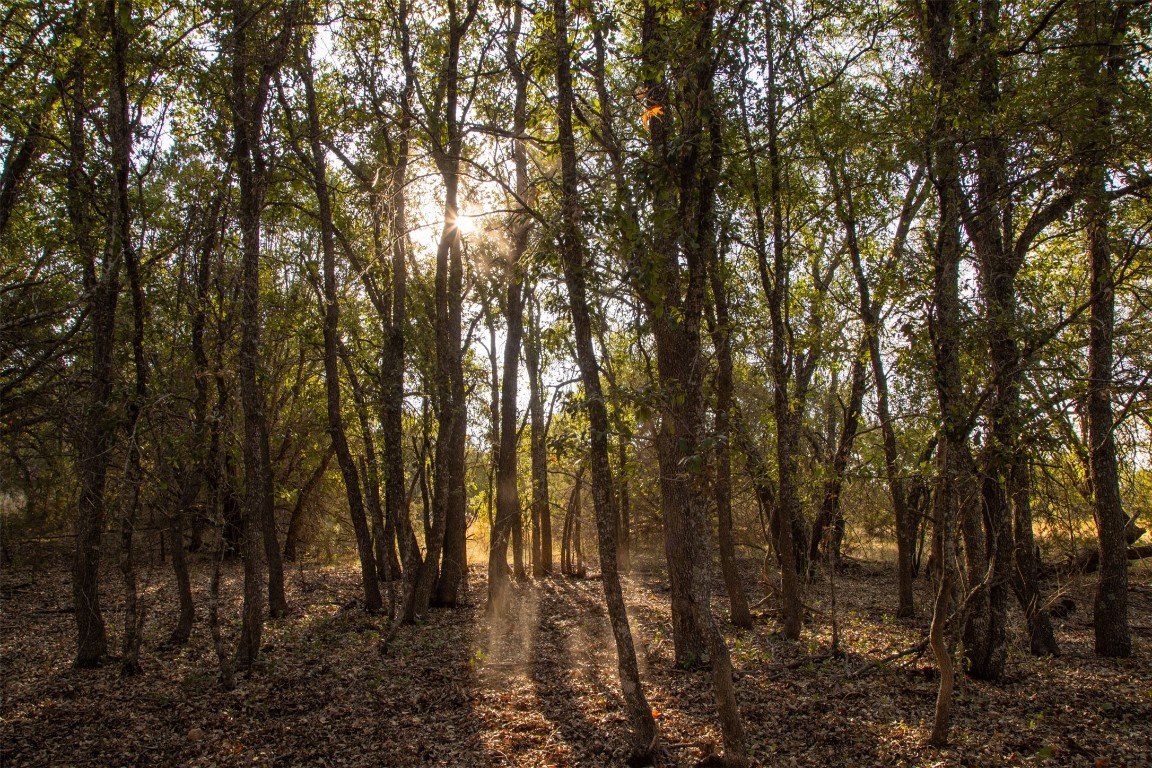 38 County Road 550 Mullin, TX 76864 - Photo 32 of 36 a view of yard