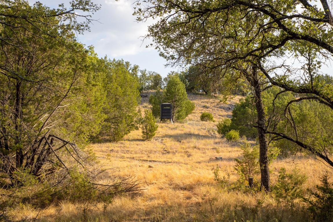 38 County Road 550 Mullin, TX 76864 - Photo 33 of 36 a view of yard covered with snow