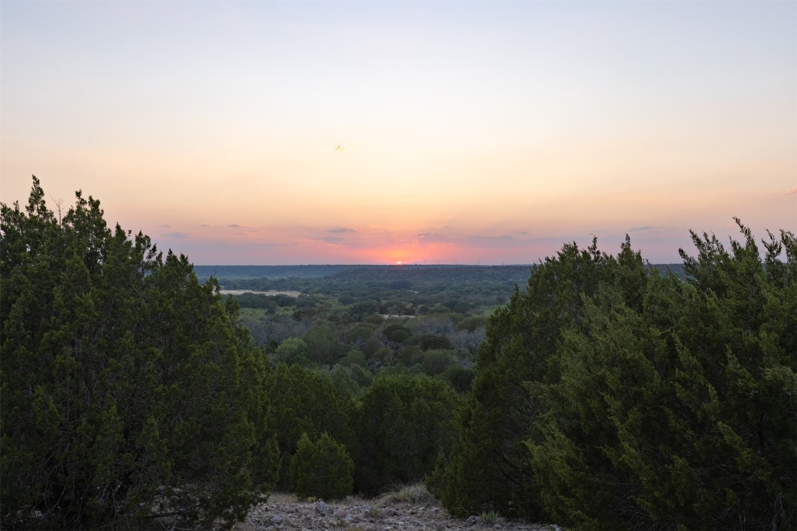 38 County Road 550 Mullin, TX 76864 - Photo 34 of 36 a view of a city with lush green forest