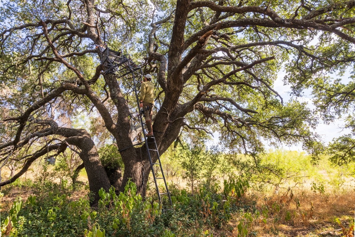 38 County Road 550 Mullin, TX 76864 - Photo 5 of 36