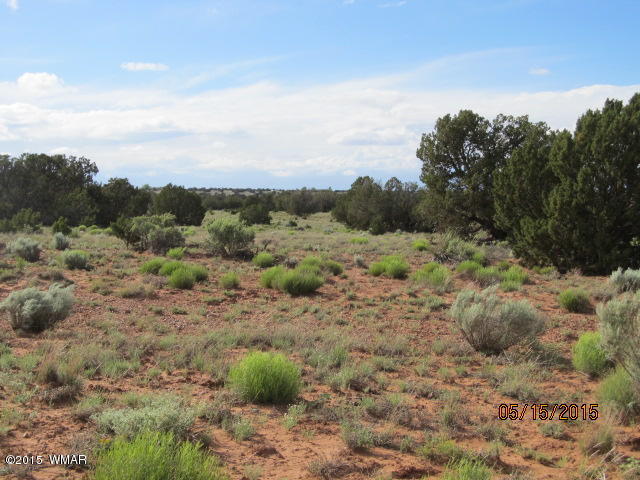 Lot 19 County Road Concho, AZ 85924 - Photo 12 of 20