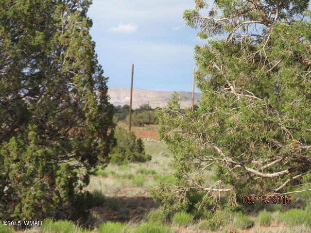 Lot 19 County Road Concho, AZ 85924 - Photo 3 of 20