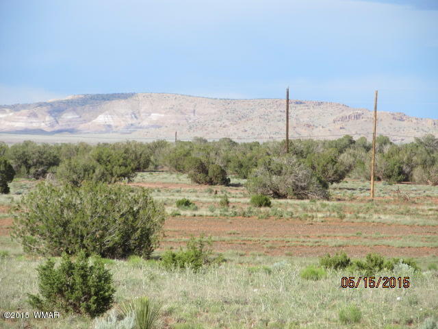 Lot 19 County Road Concho, AZ 85924 - Photo 8 of 20