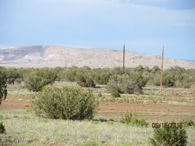 Lot 19 County Road Concho, AZ 85924 - Photo 10 of 20